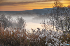 Late autumn morning ~ Toushi