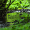 Green,Green