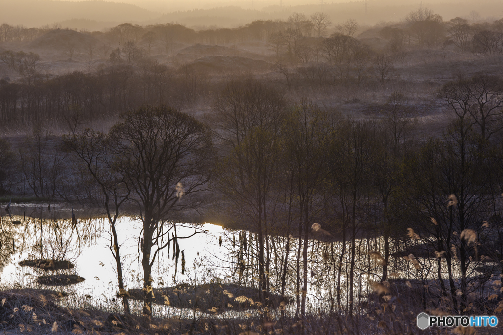 Today morning ～ Toushi
