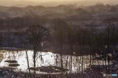 Today morning ～ Toushi