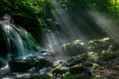 Light falls