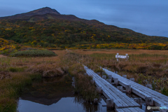 In autumn ～ Mt.Cyoukai