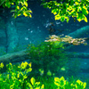 Blue water