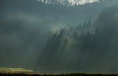 Light and shadow