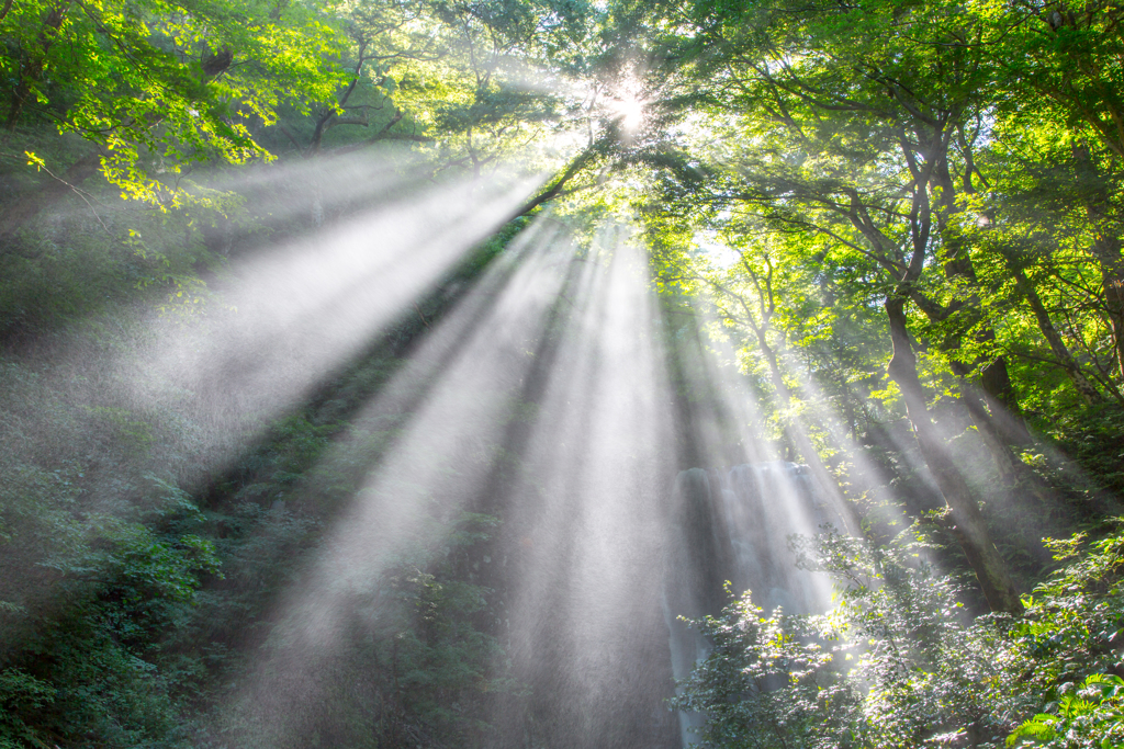 Diffused light