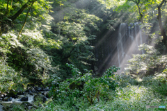 Morning light ～ Kamedafudoutaki