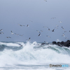 Winter sea ２