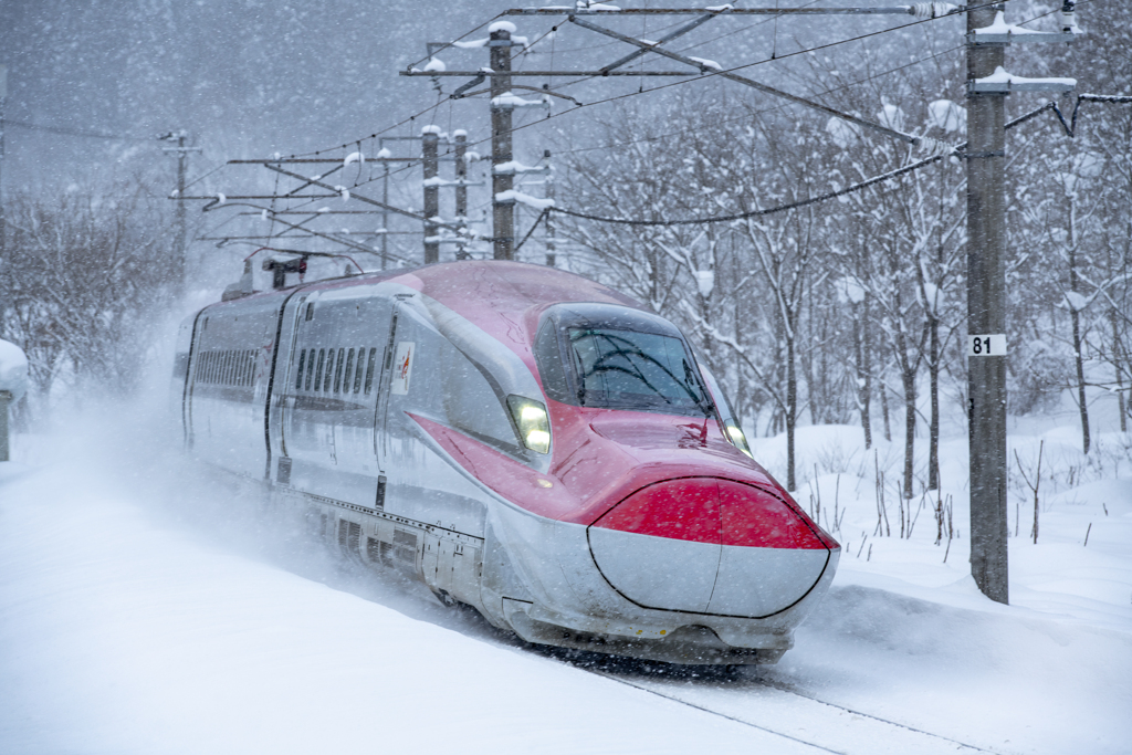 In the snow
