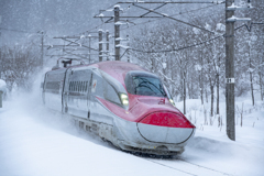 In the snow