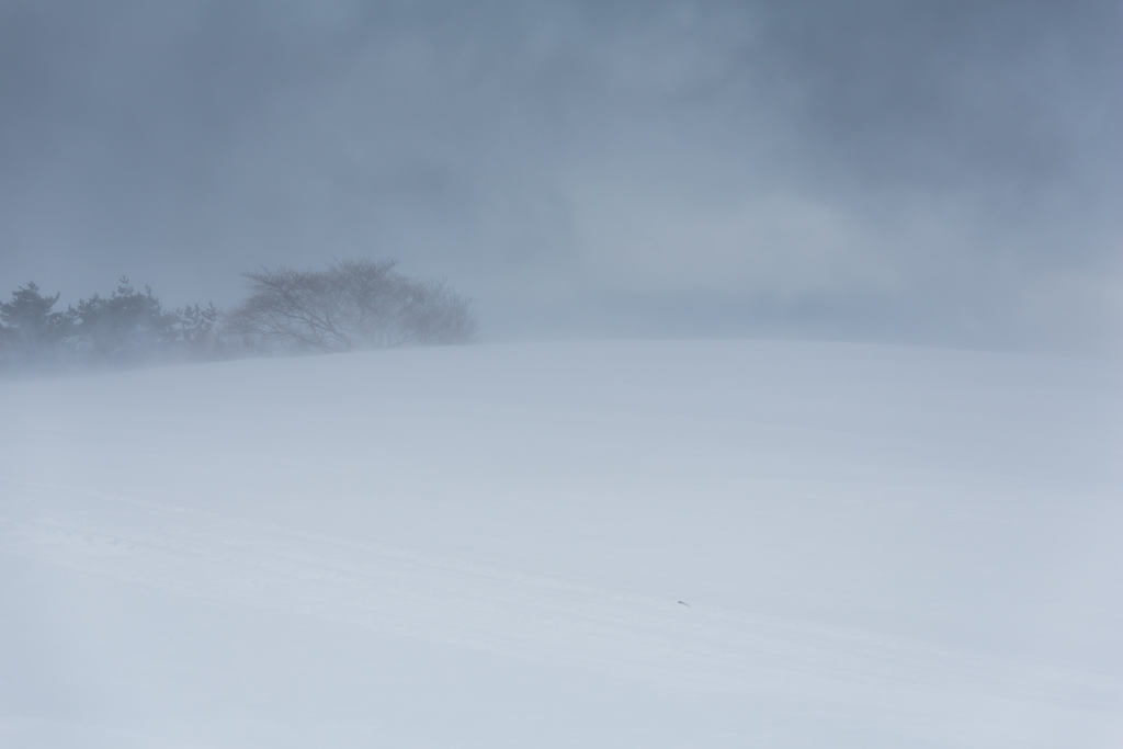 Snowstorm