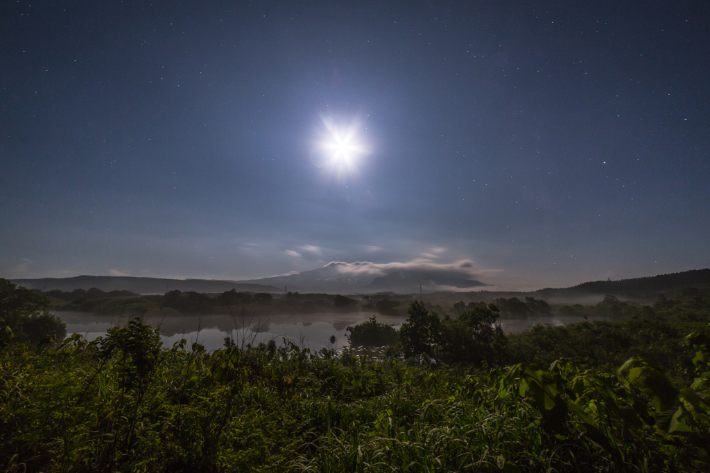 Moonlit night