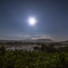 Moonlit night