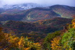 From autumn to winter
