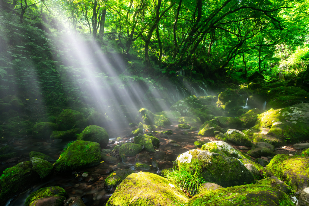 Waterfall of light