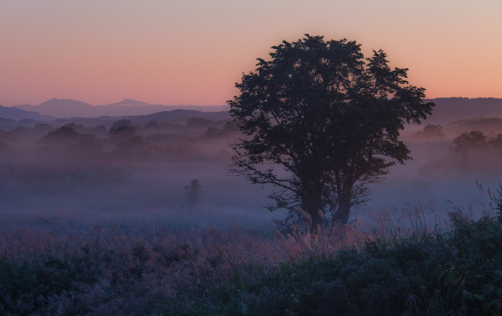 Autumn morning color ~ Toushi