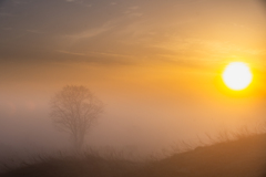 Dazzling light