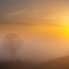 Dazzling light