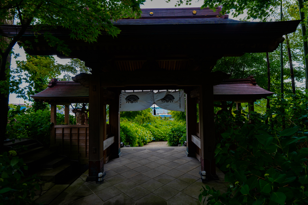 Hydrangea Temple