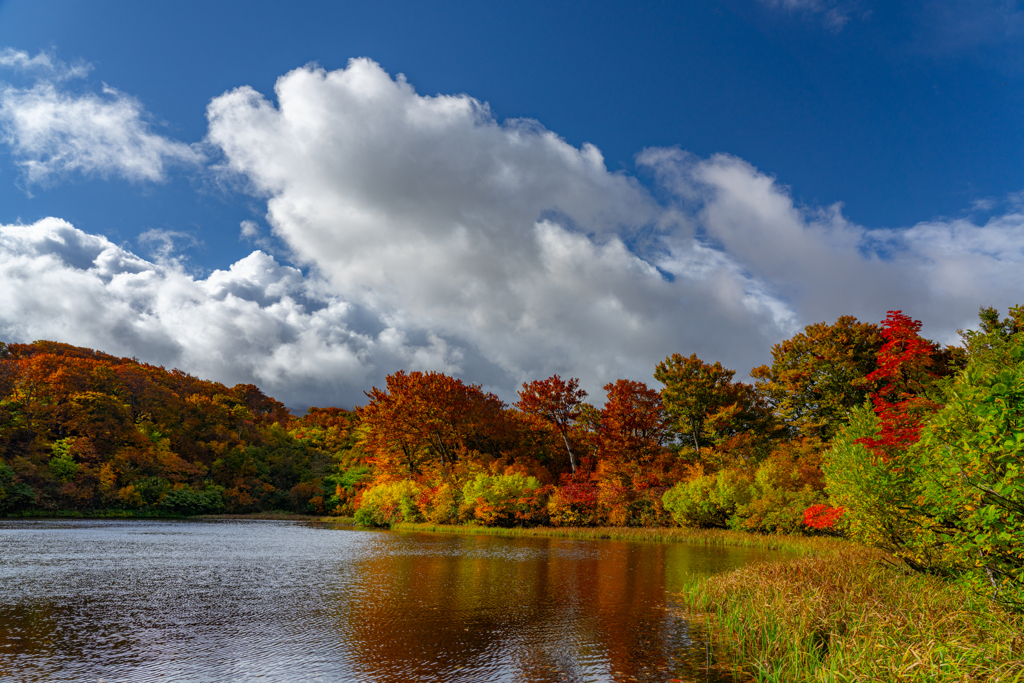 autumn sky