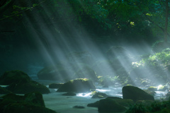 To shine