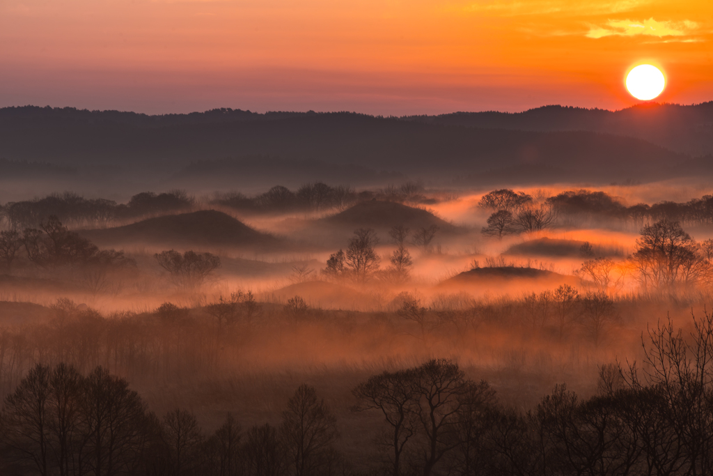 Spring Morning