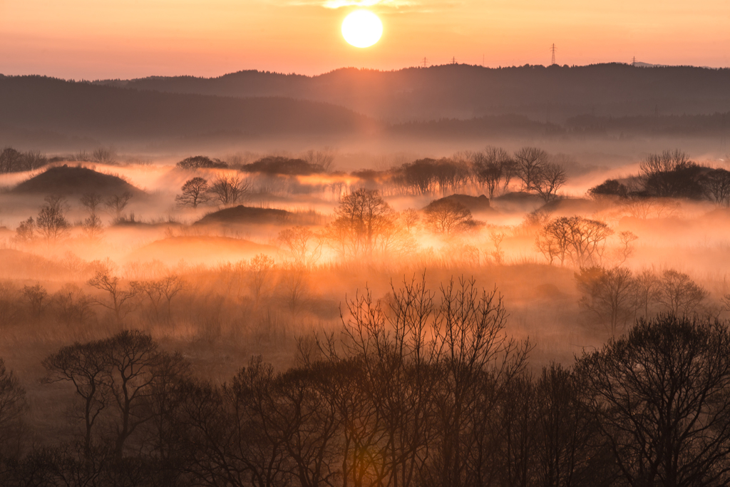 Spring Morning