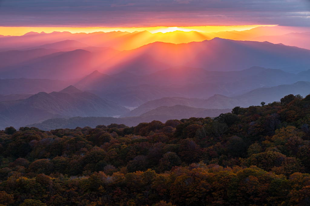 Autumn light
