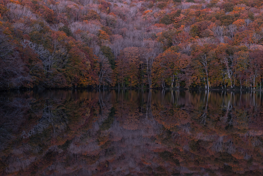 Morning mirror