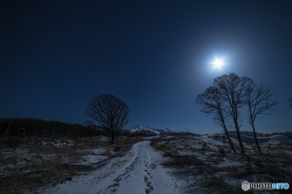 Moonlight Walk