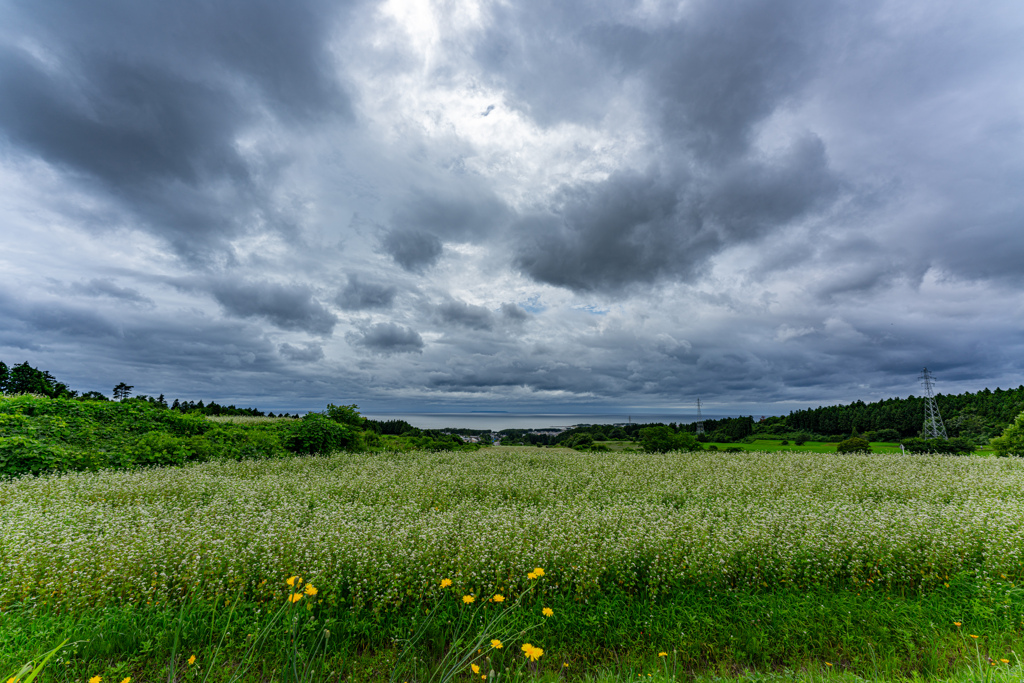 Cloudy sky