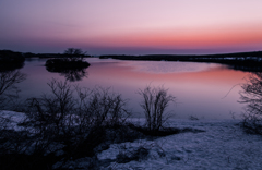 Purple morning