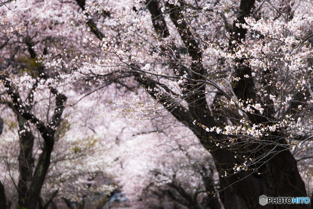 Avenue