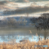 In the morning ～ Toushi 6