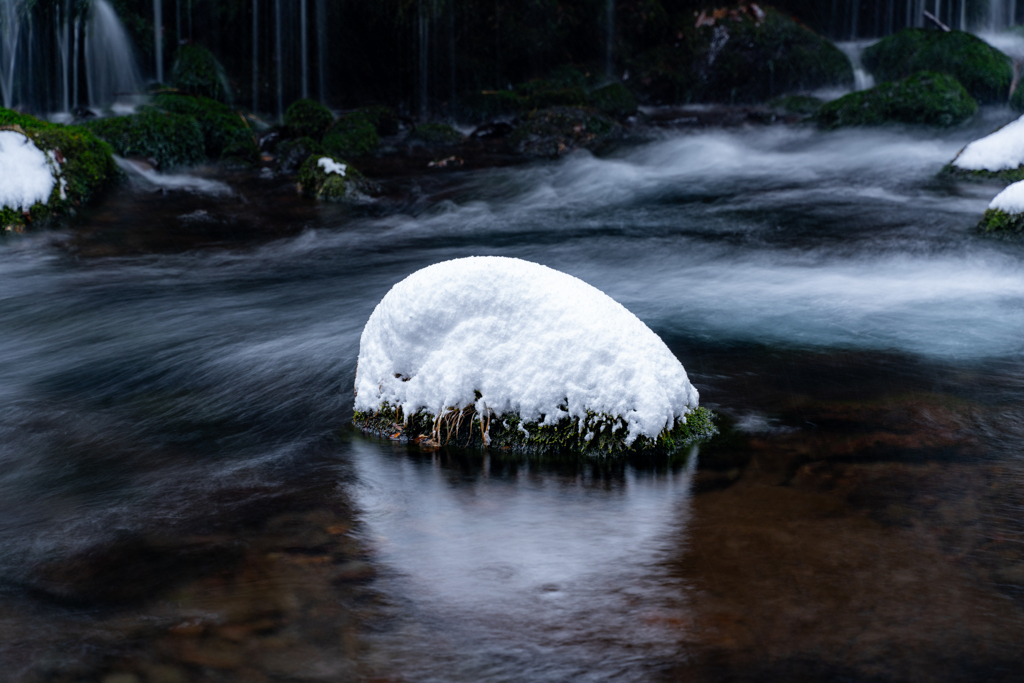 Fresh snow