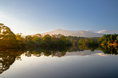 Autumn Light