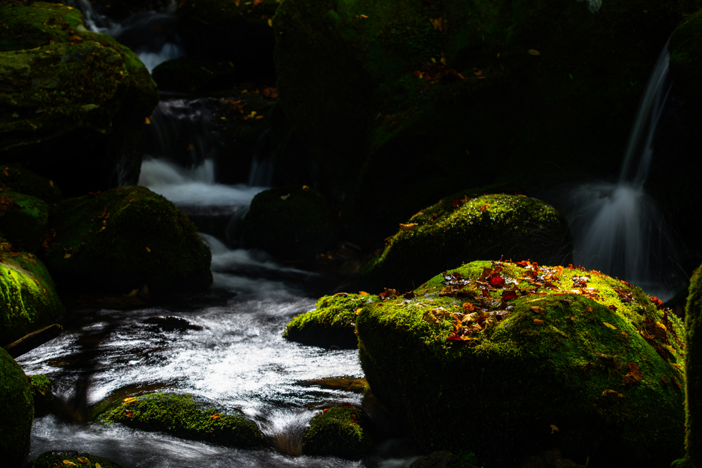 Mossy