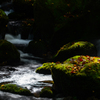 Mossy