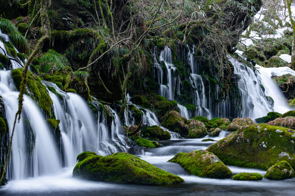 Spring moss