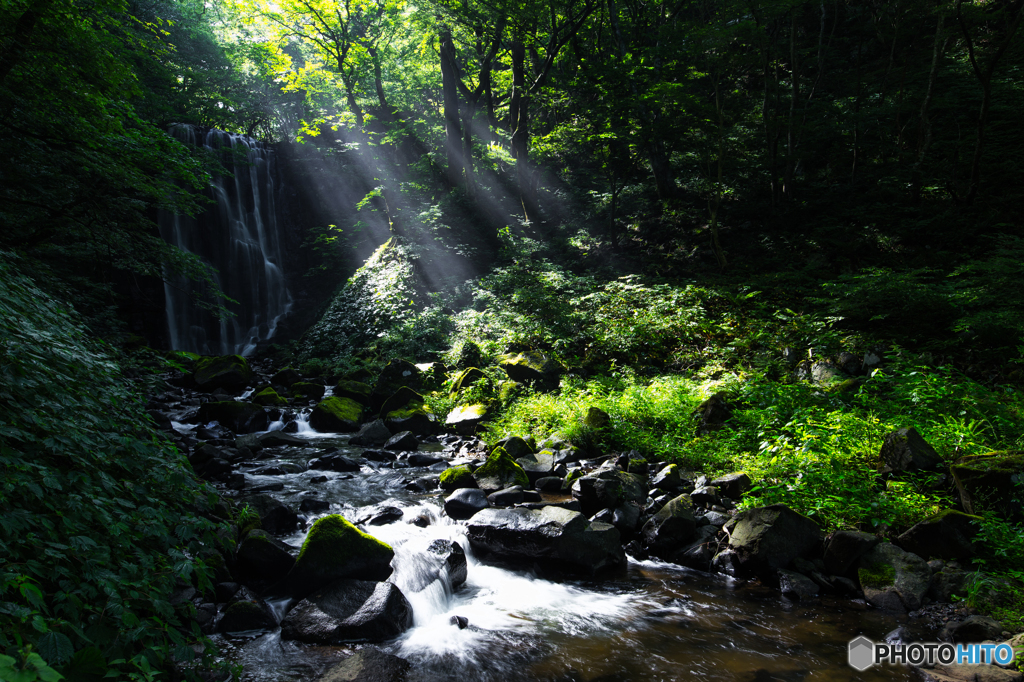 Summer morning