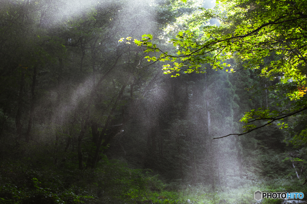 Spray light 2