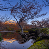 late autumn marsh