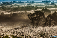 Autumn morning ~ Toushi 2
