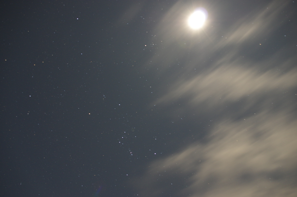 初月夜