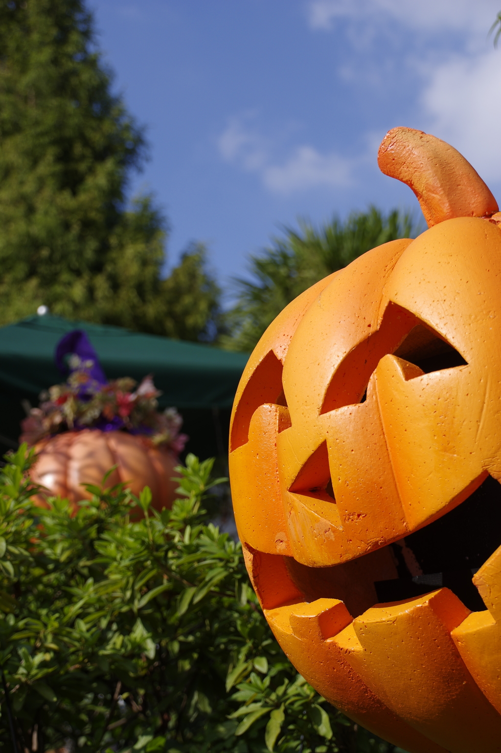 Happy Halloween