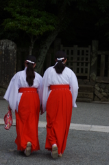 シンクロ歩行