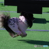 喜んでます