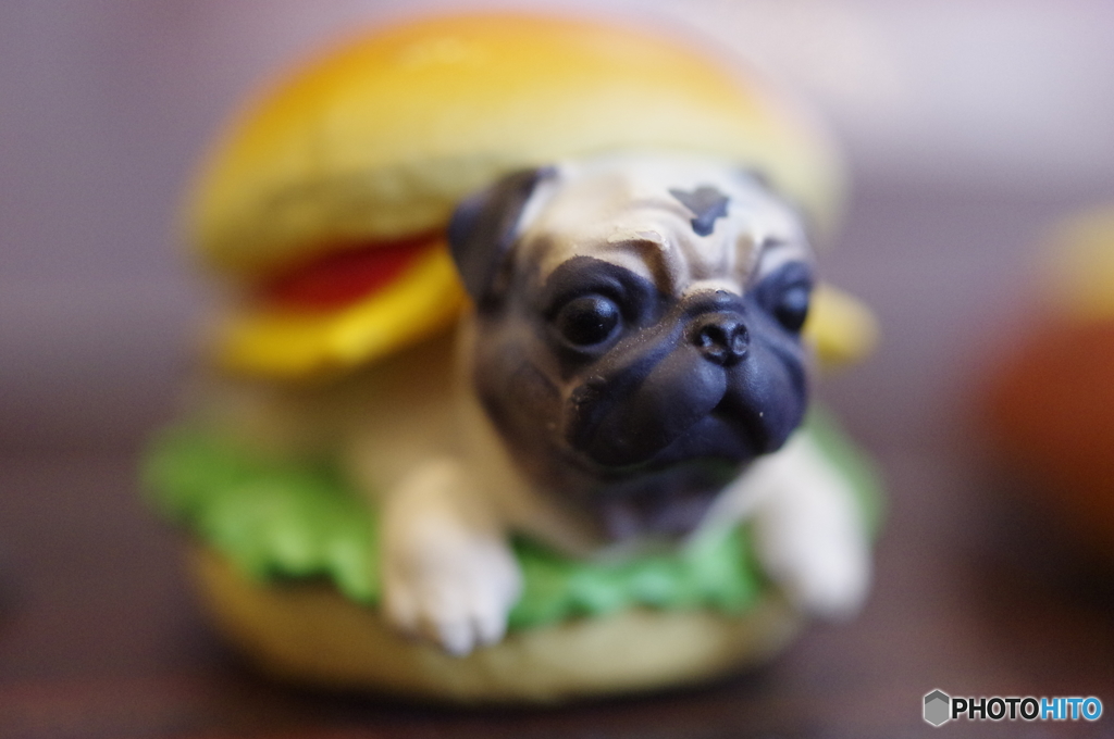 わんバーク？