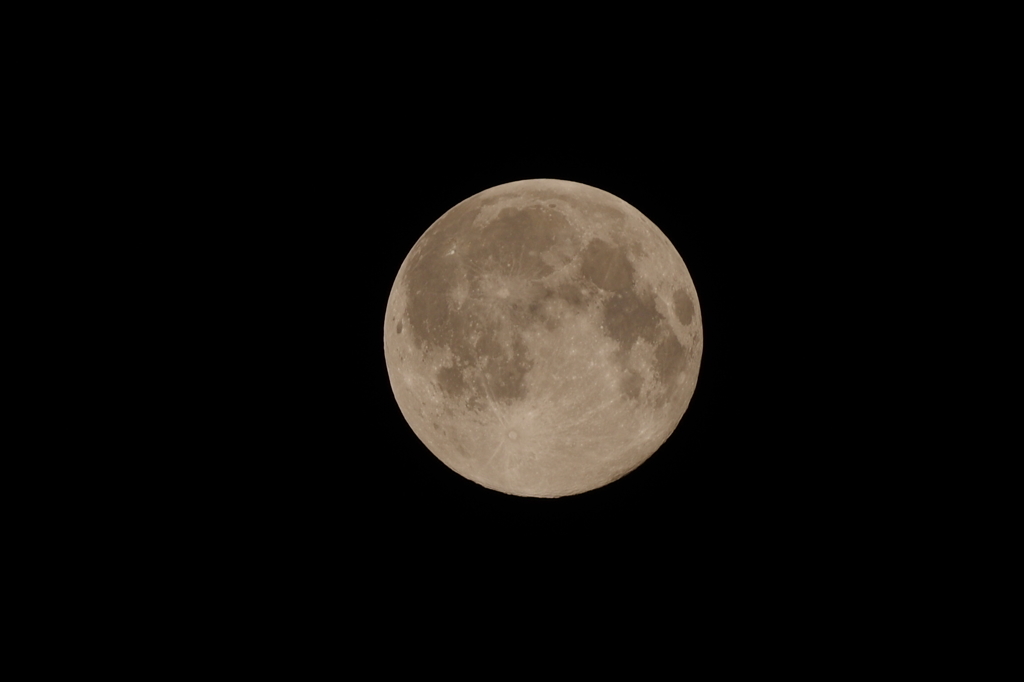 blue_Moon