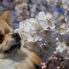 良いにおいする？