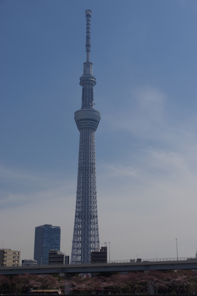 春のスカイツリー